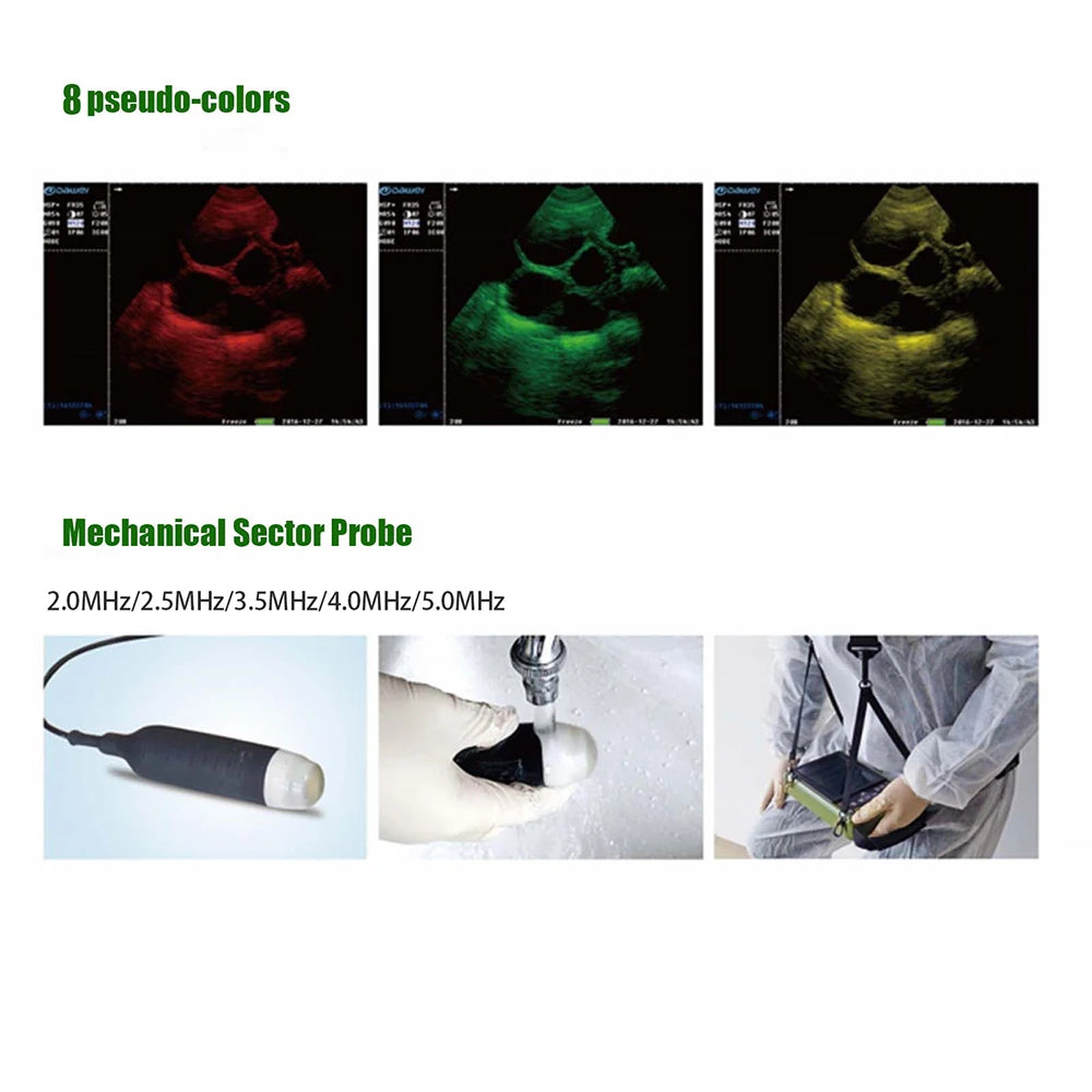 Dawei Veterinary Ultrasound Scanner With 3.5MHz Probe For Livestock