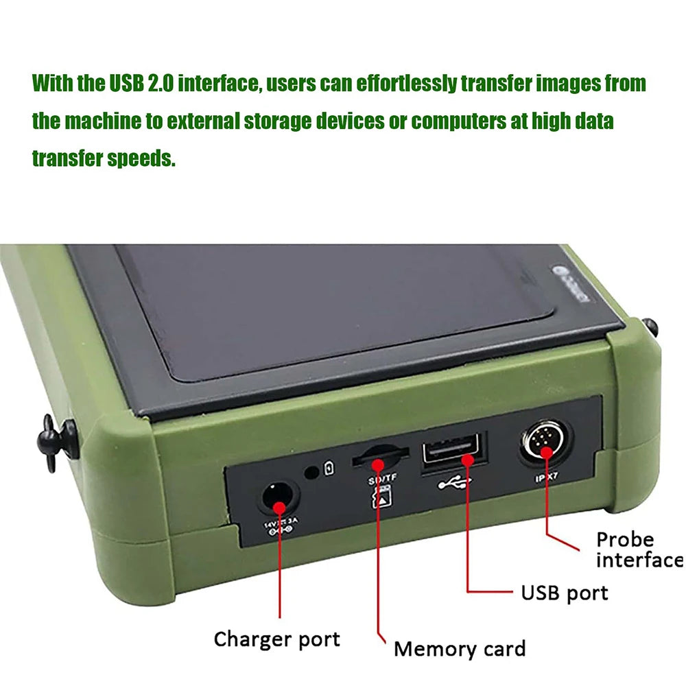 Dawei Veterinary Ultrasound Scanner With 3.5MHz Probe For Livestock