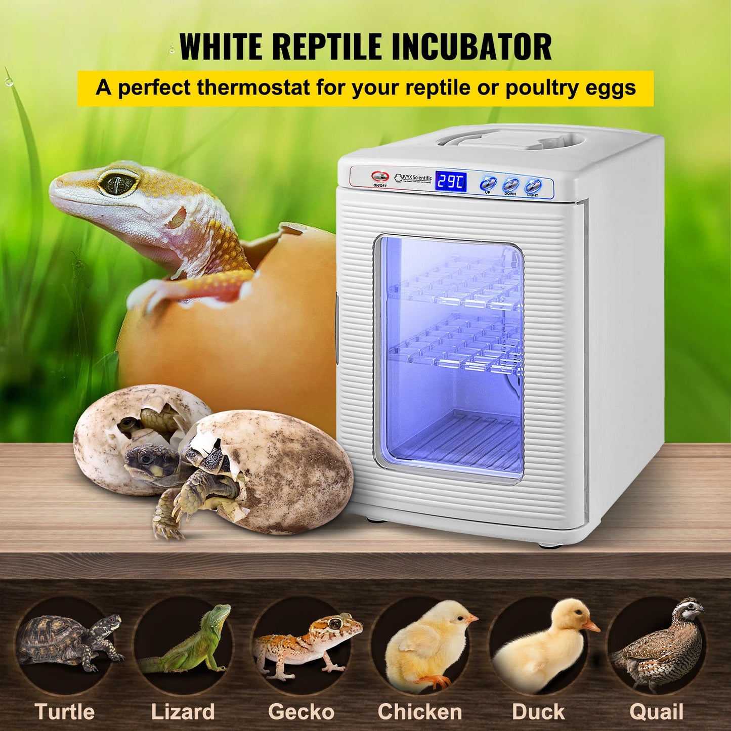 SucceBuy 25L Reptile Incubator Scientific Lab Automatic Incubator Egg Breeding Hatchery Work for Thermostats Snakes and Turtles