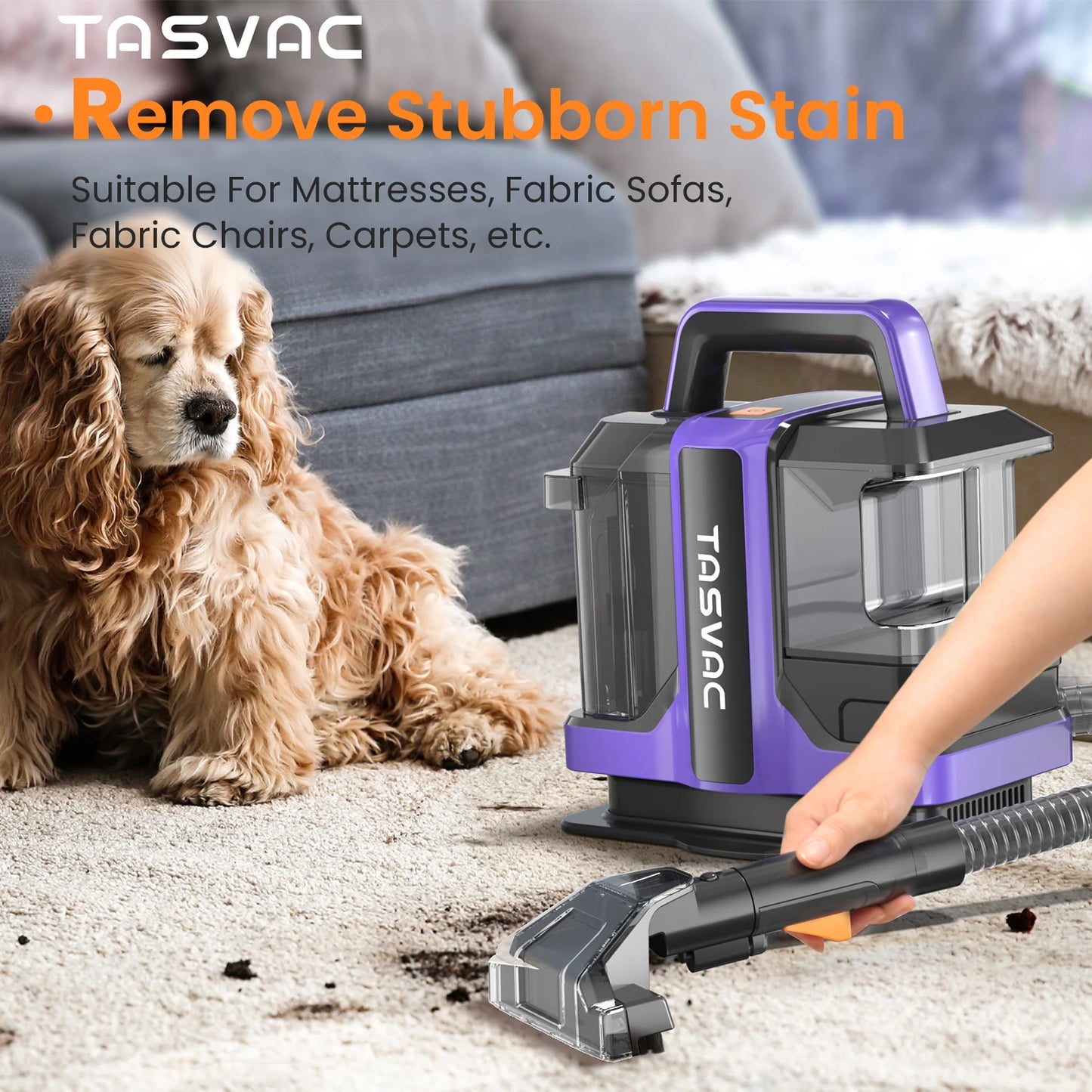 INSE C7 Portable Carpet And Upholstery Cleaner For Pets