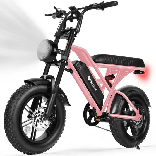 Eskute V100 Electric Dirt Bike 1500W Motor 20Mph Dual Suspension
