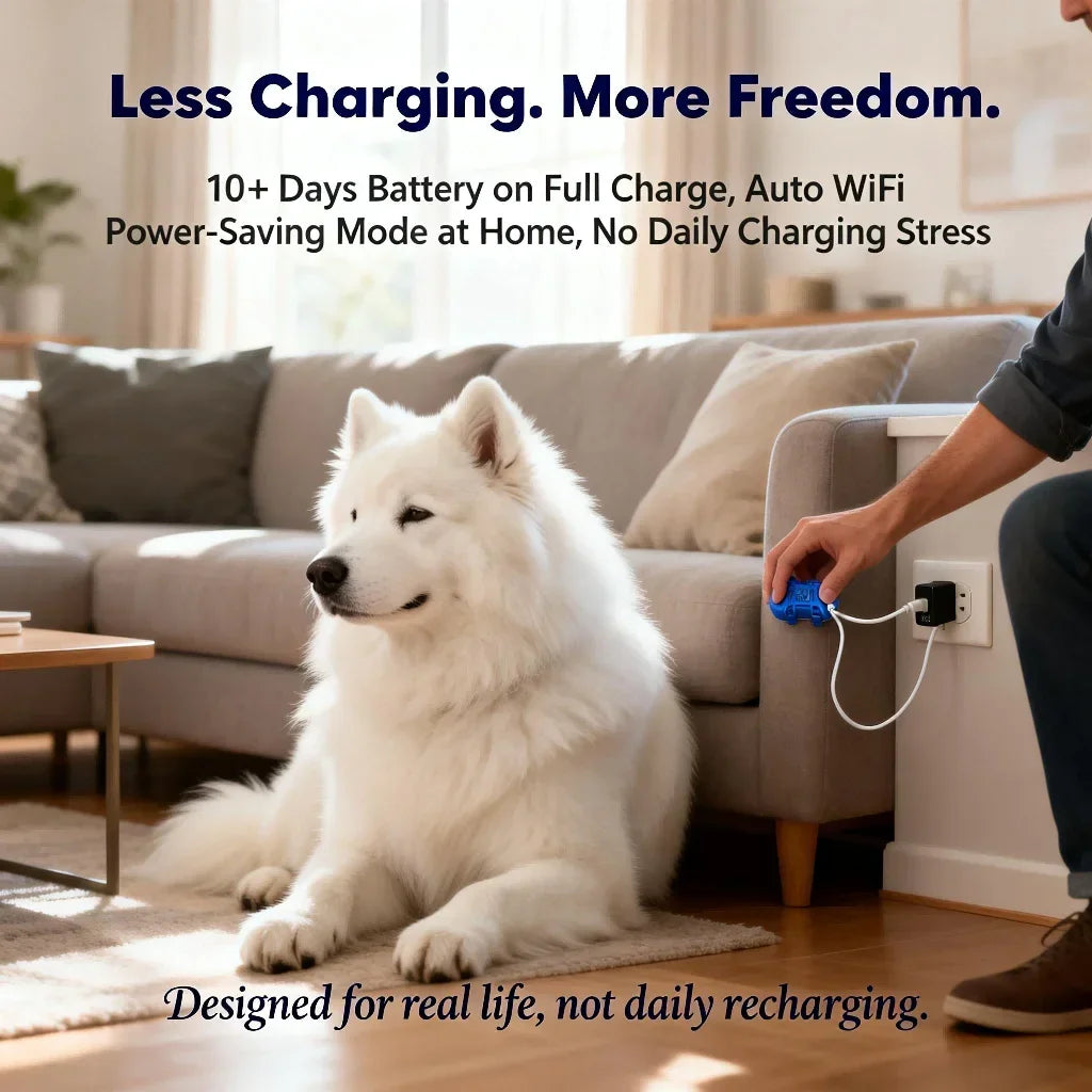 Wanwaytech Rechargeable 4G GPS Pet Tracker With Built In Sim
