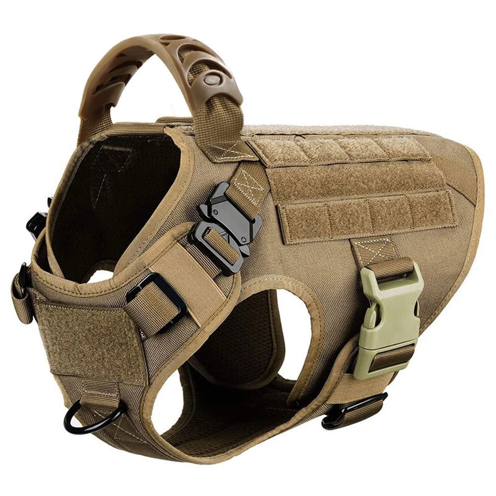 Patrel Padded Nylon Dog Harness And Leash Set For Walking