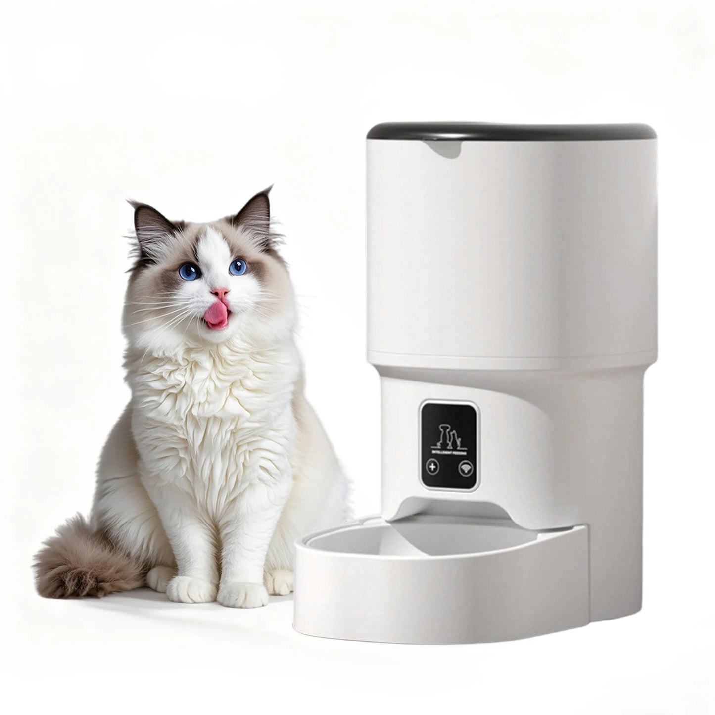 HiMISS Programmable Automatic Pet Feeder for Small Dogs and Cats