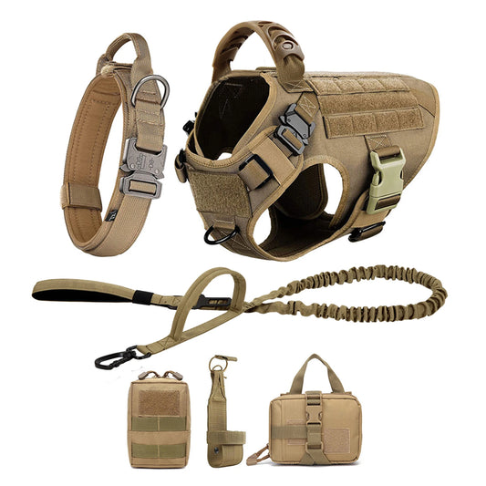 Patrel Padded Nylon Dog Harness And Leash Set For Walking