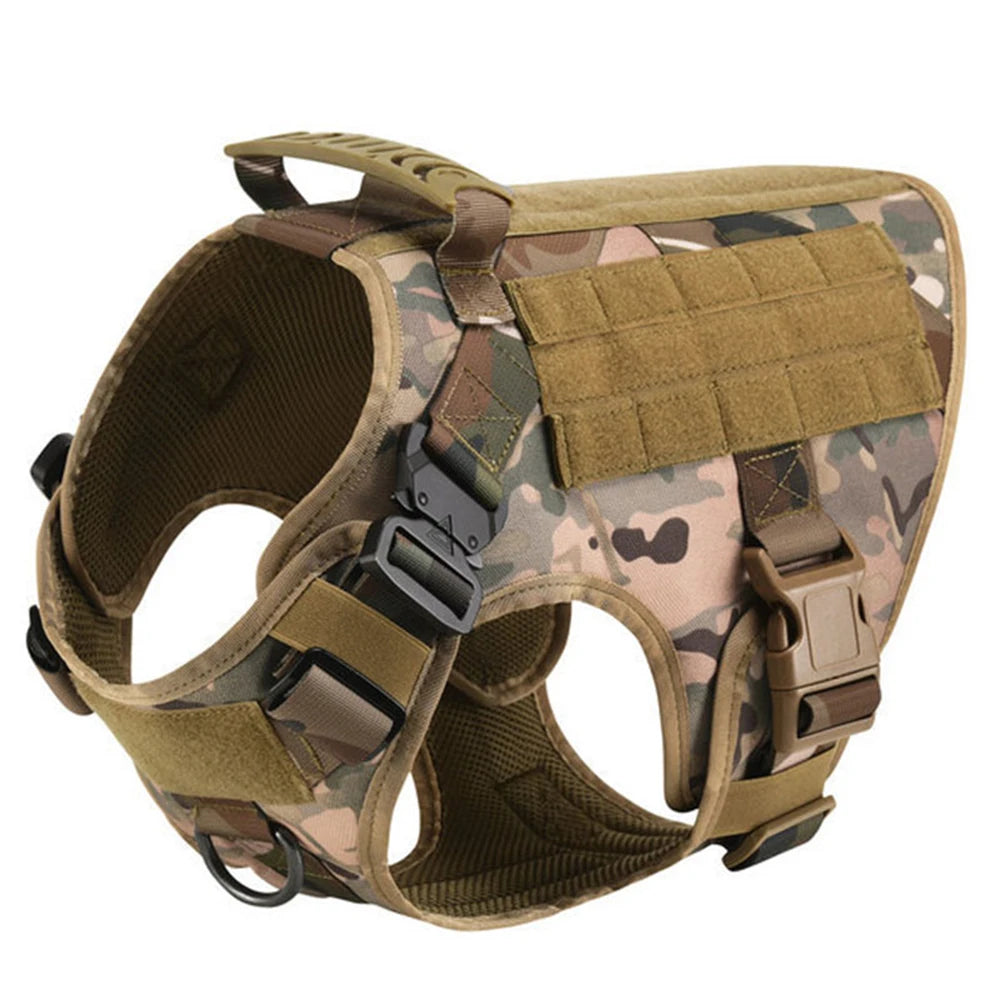 Patrel Padded Nylon Dog Harness And Leash Set For Walking