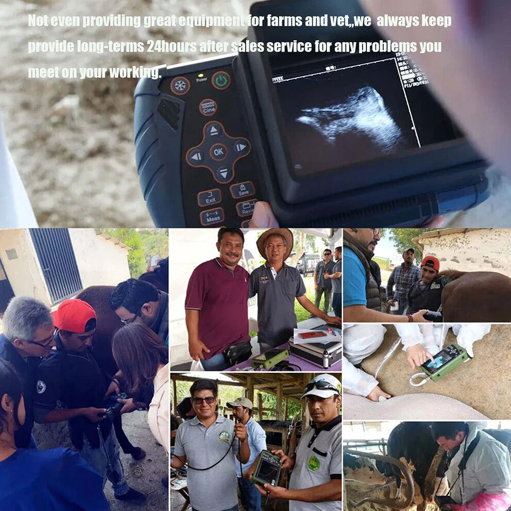 Dawei Veterinary Ultrasound Scanner With 3.5MHz Probe For Livestock