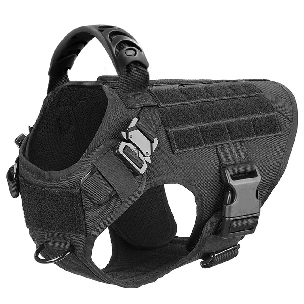 Patrel Padded Nylon Dog Harness And Leash Set For Walking