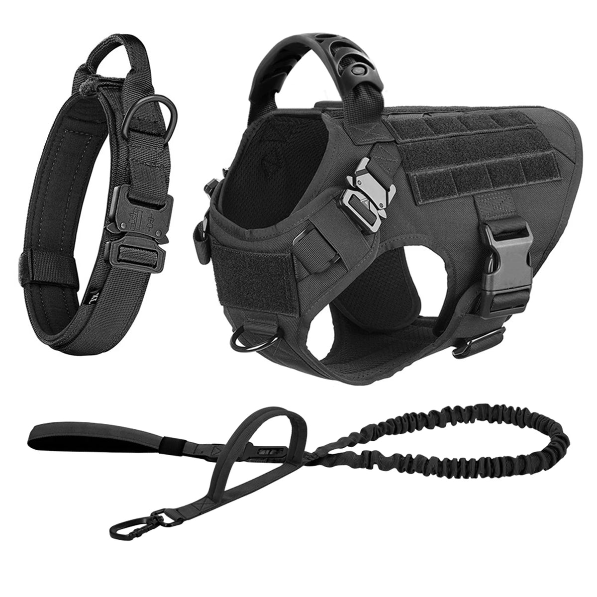 Patrel Padded Nylon Dog Harness And Leash Set For Walking