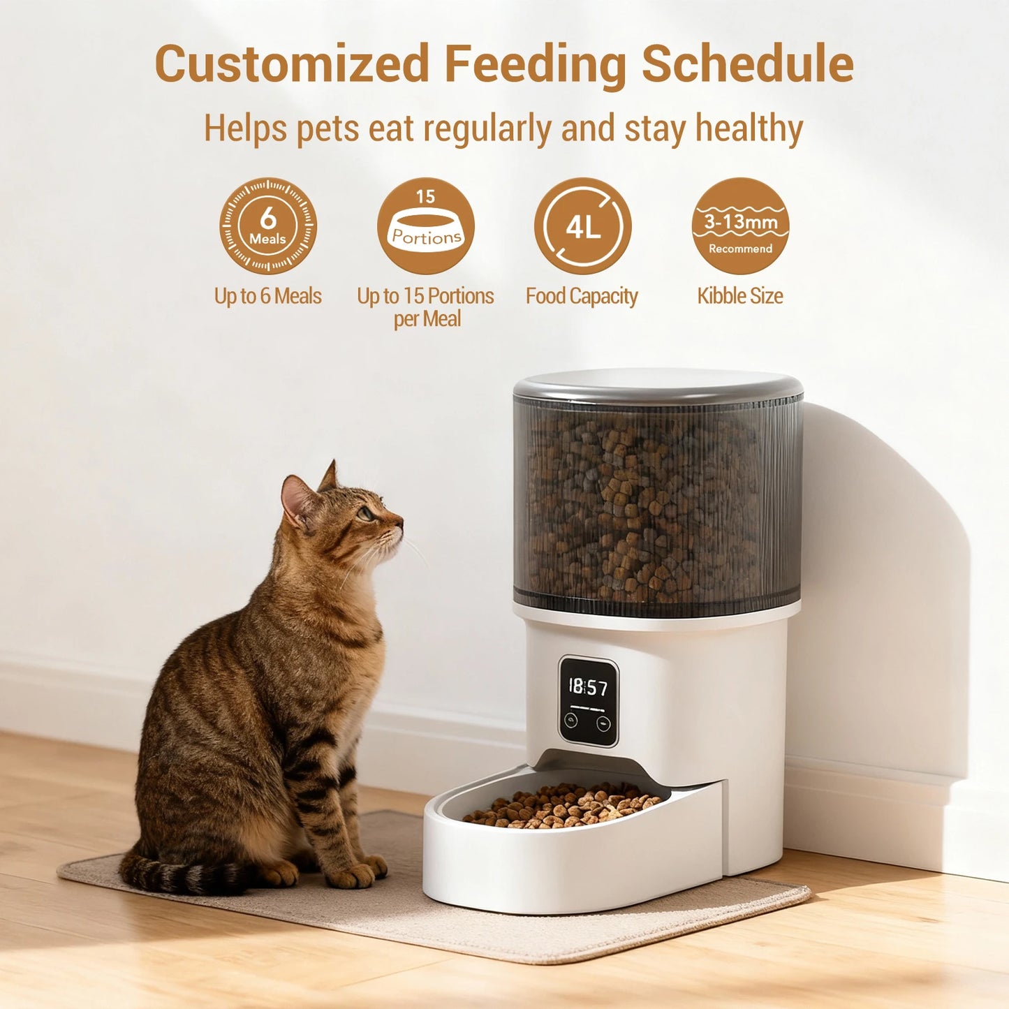 HiMISS Programmable Automatic Pet Feeder for Small Dogs and Cats