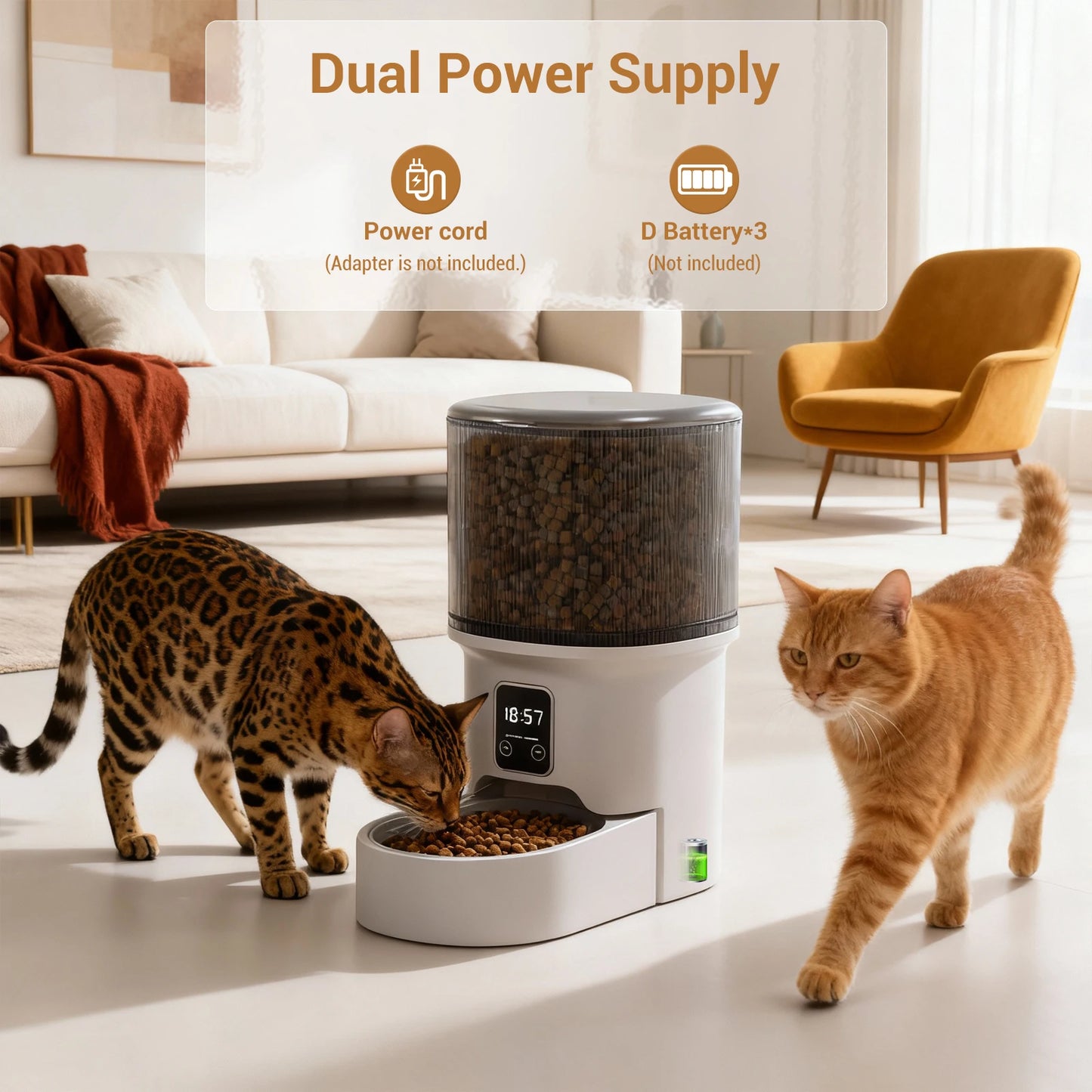 HiMISS Programmable Automatic Pet Feeder for Small Dogs and Cats