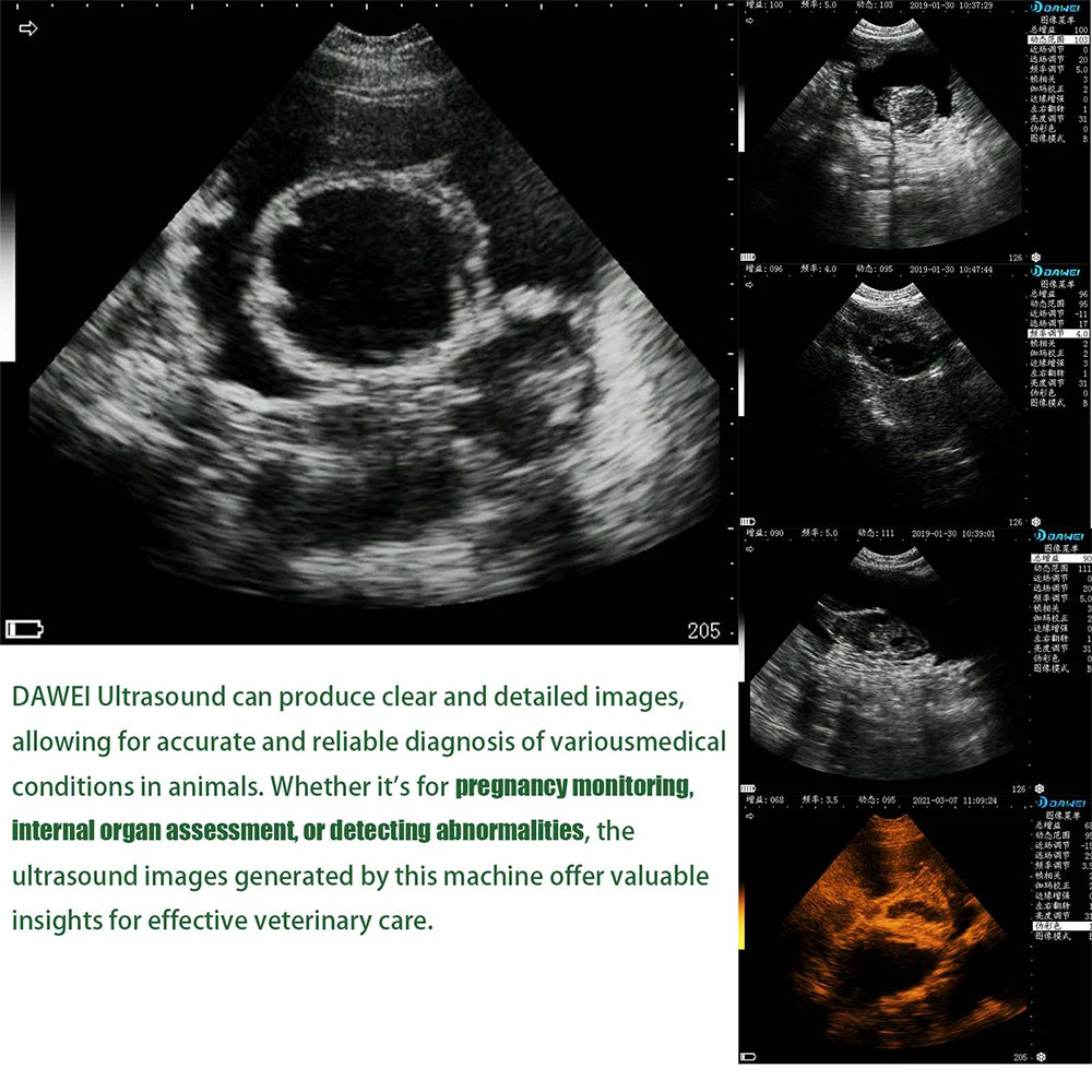 Dawei Veterinary Ultrasound Scanner With 3.5MHz Probe For Livestock